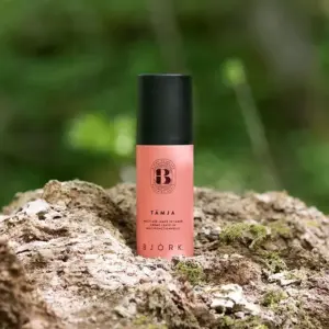 BJÖRK TÄMJA Multi Use Leave In Tamer – värmeskyddande leave in-kräm som tämjer friss och ger glans, finns att köpa på Edmondhairshop.se