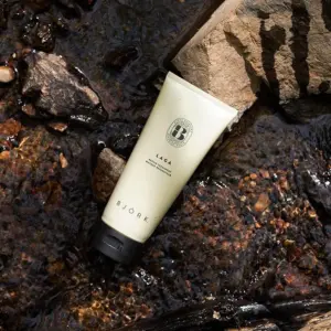 BJÖRK LAGA Repair Treatment